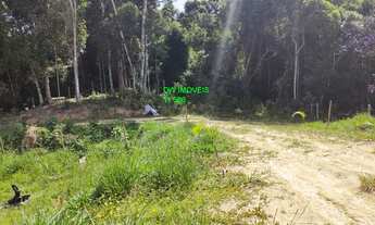 Imagem 7: JUQUITIBA/MIRACATU/SITIO COM LAGO E PASTO/AC/ENTRADA+PARCELAS + AUTO/REF: 05358