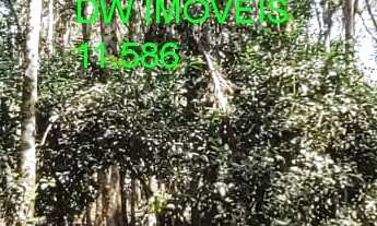 Imagem 2: MIRACATU/CHÁCARA C/RIO/LAGO/LAZER/MORAR/AC/ PROPOSTAS/REF:05364