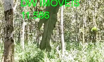 Imagem 3: MIRACATU/CHÁCARA C/RIO/LAGO/LAZER/MORAR/AC/ PROPOSTAS/REF:05364