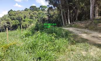 Imagem 5: JUQUITIBA/MIRACATU/SITIO COM LAGO E PASTO/AC/ENTRADA+PARCELAS + AUTO/REF: 05358