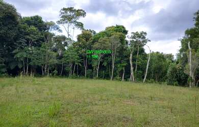 Imagem 2: JUQUITIBA/LINDO TERRENO C/PLATÔ E RIACHO /MATA/BOSQUE/CERCADO/AC/AUTO/REF:05572