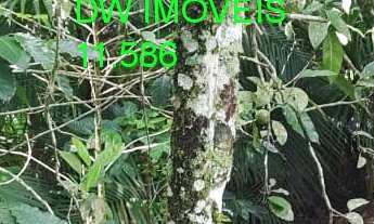 Imagem 2: JUQUITIBA/MIRACATU/BELA CHÁCARA C/RIACHO/BELA CASA/AC/PROPOSTAS/REF:05595