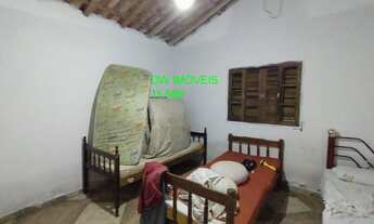 Imagem 6: Miracatu, SP /Sítio de 9 alqueires com 15 mil pés de palmito produzindo! Não perca essa op