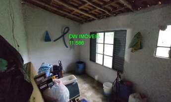 Imagem 7: Miracatu, SP /Sítio de 9 alqueires com 15 mil pés de palmito produzindo! Não perca essa op