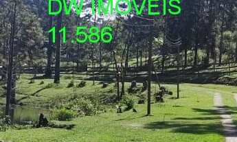 Imagem 3: SITIO RURAL em JUQUITIBA - SP, CENTRO