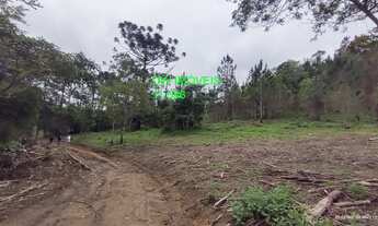 Imagem 5: TERRENO RURAL em JUQUITIBA - SP, CENTRO