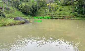 Imagem: SITIO RURAL em JUQUITIBA - SP, CENTRO