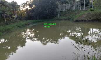 Imagem: SITIO RURAL em JUQUIÁ - SP, ESTRADA DE