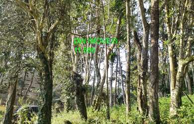 Imagem 4: CHACARA RURAL em MIRACATU - SP, ESTRADA DO CAFEZAL