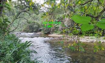 Imagem: SITIO RURAL em MIRACATU - SP, CAFEZAL