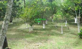 Imagem 3: SITIO RURAL em JUQUITIBA - SP, PALESTINA