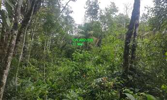 Imagem: TERRENO RURAL em JUQUITIBA - SP, SIDERURGICA