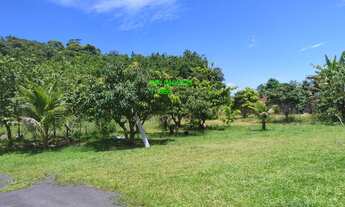 Imagem 6: IGUAPE/LINDO SITIO C/BOA TOPOGRAFIA/AC/PERMUTA EM SÃO BERNARDO DO CAMPO/REF:05404