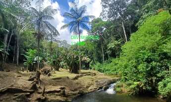 Imagem: SITIO RURAL em MIRACATU - SP, ESTRADA MUNICIPAL