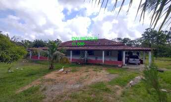 Imagem 3: IGUAPE/LINDO SITIO C/BOA TOPOGRAFIA/AC/PERMUTA EM SÃO BERNARDO DO CAMPO/REF:05404