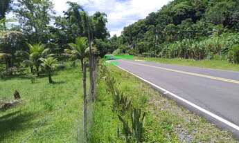 Imagem 7: IGUAPE/LINDO SITIO C/BOA TOPOGRAFIA/AC/PERMUTA EM SÃO BERNARDO DO CAMPO/REF:05404