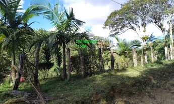 Imagem 2: SITIO JUQUITIBA REPRESA COM PEIXES/AC/AUTO/MOTO/CAMINHONETE