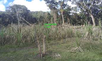 Imagem 3: JUQUITIBA/EMBU-GUAÇU /LAGO E RIO NOS FUNDOS