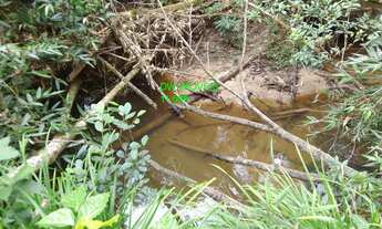 Imagem: JUQUITIBA/EMBU-GUAÇU /LAGO E RIO NOS FUNDOS
