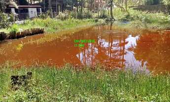 Imagem: BELO SITIO JUQUITIBA FRENTE ASFALTO COM