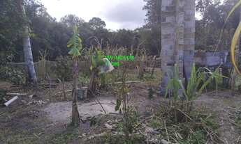 Imagem 4: SITIO 20.000 MTS C/NASCENTE/POCILGA /APENAS R$ 130.000,00 ACEITA AUTO