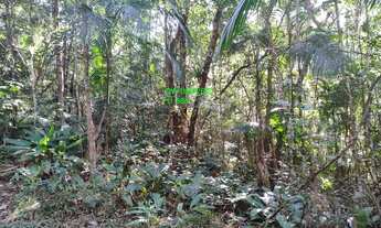 Imagem 2: TERRENO A VENDA COM RIACHO EM JUQUITIBA/CONDOMINIO FECHADO