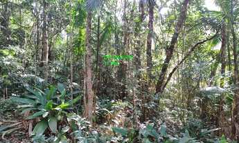 Imagem 6: TERRENO A VENDA COM RIACHO EM JUQUITIBA/CONDOMINIO FECHADO