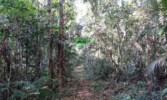 Imagem 5: TERRENO A VENDA COM RIACHO EM JUQUITIBA/CONDOMINIO FECHADO