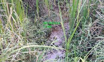 Imagem: TERRENO A VENDA COM RIACHO EM JUQUITIBA/CONDOMINIO