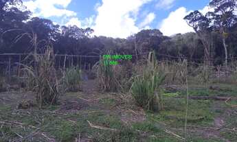 Imagem: SITIO 20.000 MTS C/NASCENTE/POCILGA /APENAS