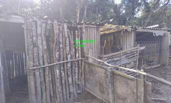 Imagem 7: SITIO 20.000 MTS C/NASCENTE/POCILGA /APENAS R$ 130.000,00 ACEITA AUTO