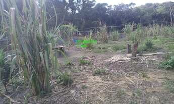 Imagem 3: SITIO 20.000 MTS C/NASCENTE/POCILGA /APENAS R$ 130.000,00 ACEITA AUTO