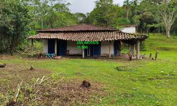 Imagem: LINDO SITIO COM LAGO/PASTO/BAIAS/SEDE AVARANDADA/REF