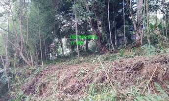 Imagem 7: CHÁCARA COM LAGO E CASA MODESTA/SÓ R$ 80 MIL PARCELADO