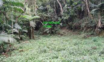 Imagem: BE,LO TERRENO COM NASCENTES EM JUQUITIBA/AC/ENTRADA