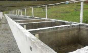 Imagem 3: JUQUITIBA/LINDO PESQUEIRO/SEDE/CASEIRO/HÓSPEDES/PISCINA/CAMPO/RENDA CERTA/AC/PROPOSTAS/REF