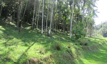 Imagem 4: São Lourenço da Serra/Sitio p/Fins Comerciais/Alto Padrão/04 Lagos/Ref:04714