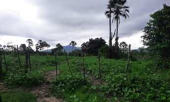 Imagem 5: FAZENDA RURAL em Caucaia - CE, Jarandragoeira