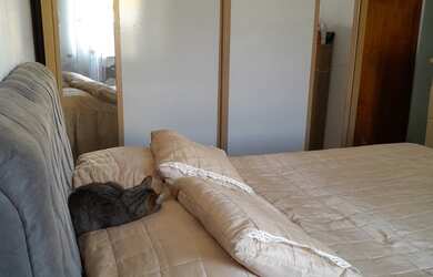 Imagem 4: Sobrado Jd, Santa Maria 2 Casas no mesmo Terreno Próx. Shopping Aricanduva