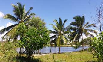 Imagem 4: EXCELENTE CASA COM ENERGIA SOLAR PISCINA E LAGOA PRIVATIVA A 100 METROS DA PRAIA DE PIPA
