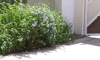 Imagem 2: CASA NASCENTE FANTÁSTICA COM 4/4 SENDO 2 SUÍTES PRONTA PRA MORAR COM 3 SALAS, COPA E COZIN