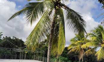 Imagem: SÍTIO LINDO E MURADO PARA EVENTOS DE FRENTE