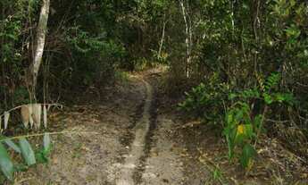 Imagem 6: 1 dormitório, 1 banheiros, 10M² de Área Construída, 10M² de Área Total