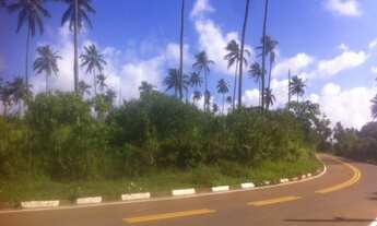 Imagem 3: 228000M² de Área Total na Estrada Do Côco