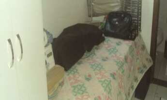 Imagem 4: 4 dormitórios, 1 suítes, 3 banheiro, 2 vagas na garagem