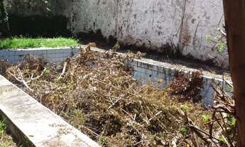 Imagem 5: Casa ampla com Terraço no melhor do Caminho das Àrvores (Alameda das Espatódeas)para comé