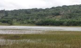 Imagem 4: ESTRADA DO COCO BARRA DO JACUÍPE CANTO DOS PÁSSAROS LADO OPOSTO DA PRAIA