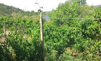 Imagem 2: ESTRADA DO COCO BARRA DO JACUÍPE CANTO DOS PÁSSAROS LADO OPOSTO DA PRAIA