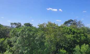 Imagem 6: APARTAMENTO, 2 DORMITORIOS, LOMBA DO PINHEIRO