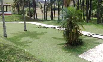 Imagem 3: SITIO RURAL em ARUJÁ - SP, PENHINHA